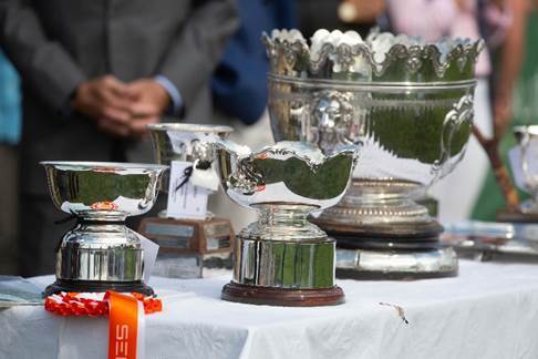 MORETON SHOW - HANBURY COUNTRYSIDE SHOW - BURWARTON SHOW