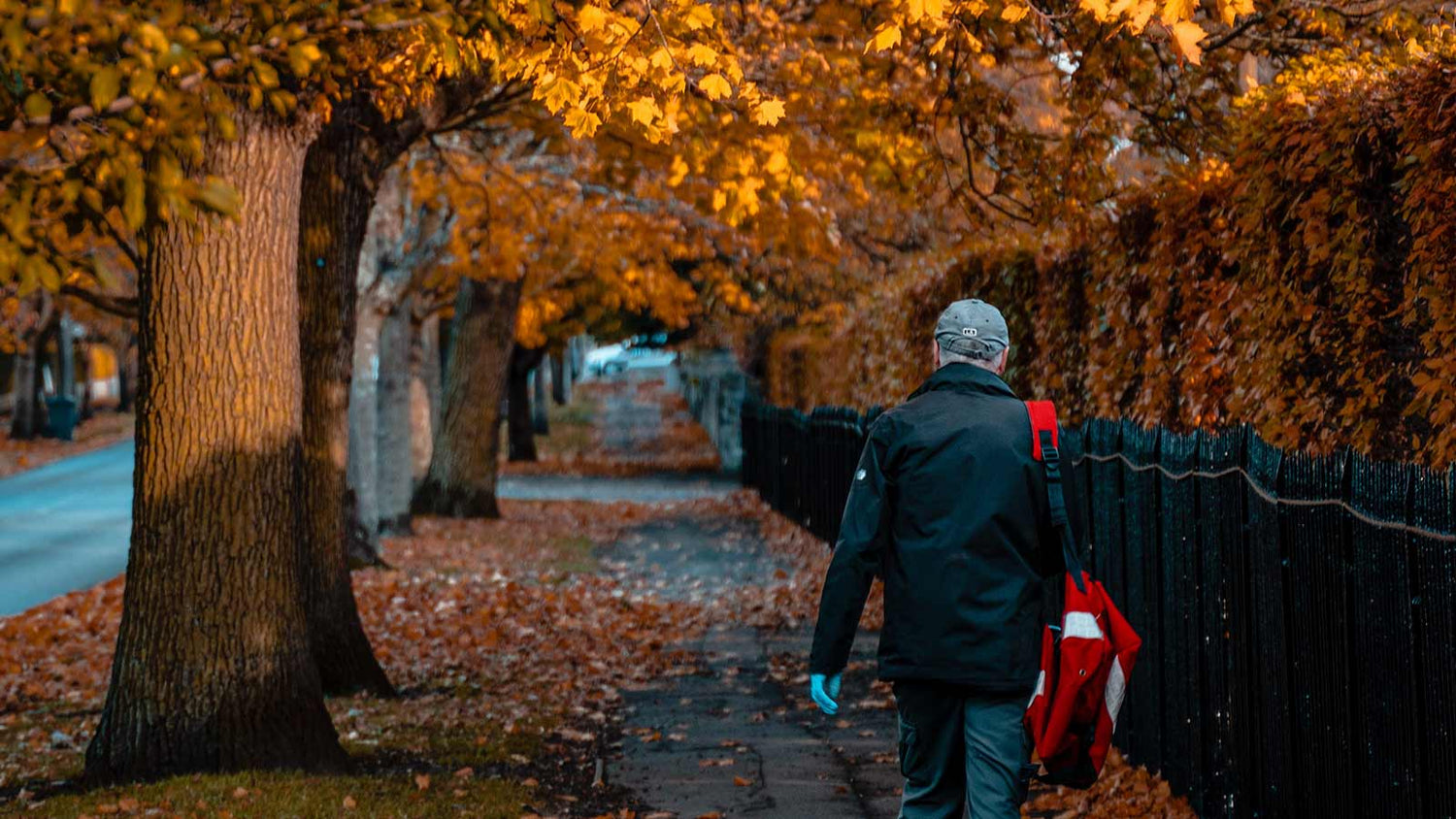 Magazine Advertising (Print)