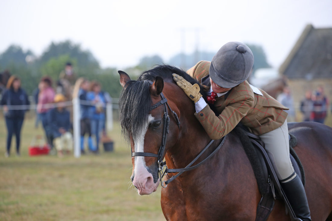 Exciting Horse Extravaganza at Moreton Show 2023: New Competitions, Thrilling Performances and Supreme Equestrian Excellence!