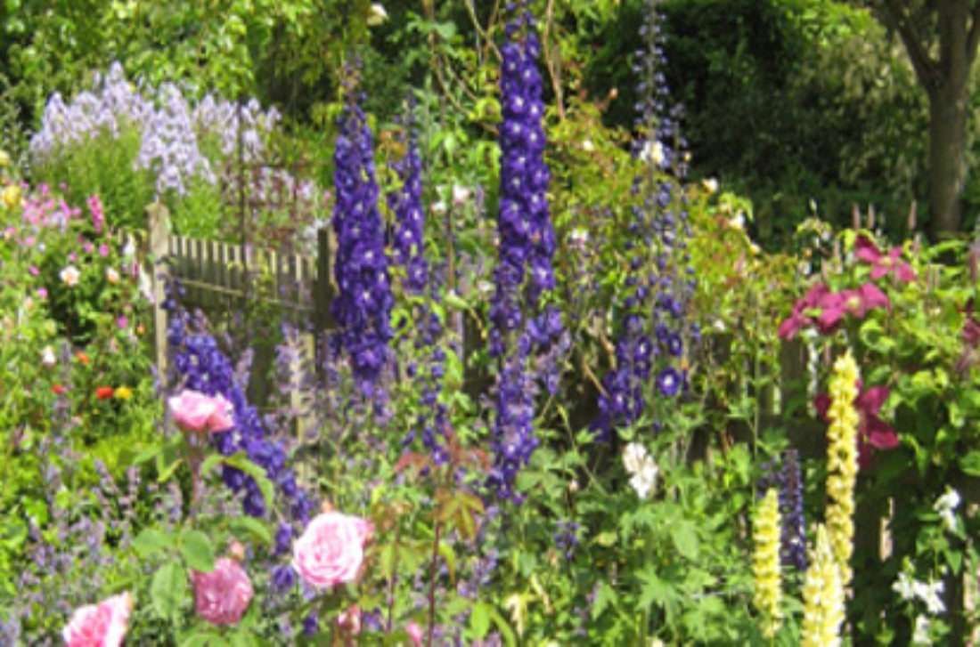 Taynton Gardens Open OX18 4UH