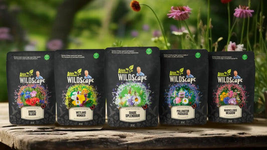 5 packets of Wildscape British Wildflower Seeds by Adam Henson