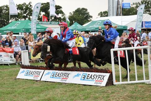 What’s On at Moreton Show 2023