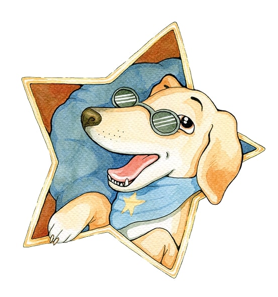 Rocco the Rock Star Steak In A Bowl