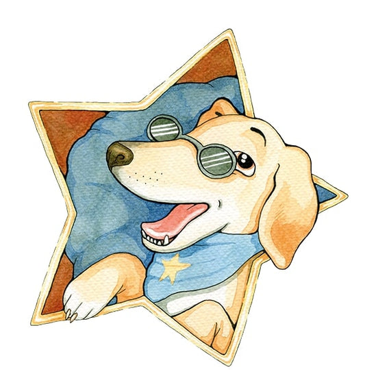 Rocco the Rock Star Steak In A Bowl